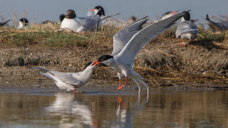 Parc du peuple de l’herbe